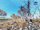 Vacant lot with dry vegetation and real estate sign