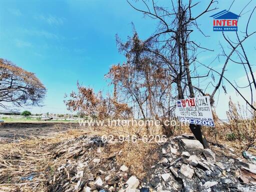 Vacant lot with dry vegetation and real estate sign