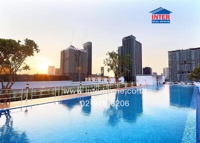 Rooftop swimming pool with city skyline view