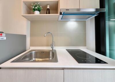 Modern kitchen with sink and cooktop