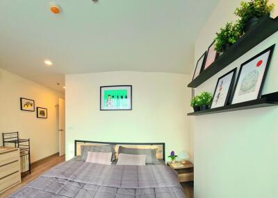 Modern bedroom with artwork and plants
