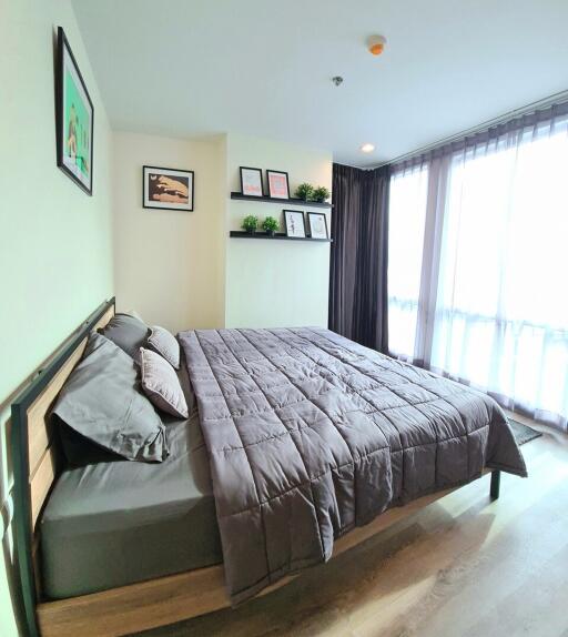 A spacious bedroom with a double bed, framed pictures on the wall, and large windows with curtains