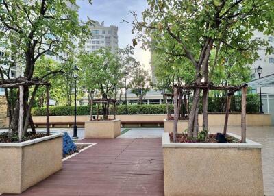 Beautifully landscaped outdoor area with trees and modern walkway