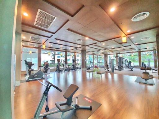 Spacious and well-equipped gym with modern exercise machines and large windows