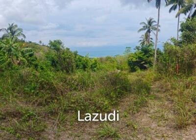 Hot deal of Sea View land taling ngam