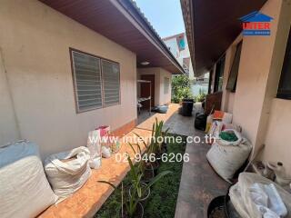 Outdoor corridor with potted plants and storage bags