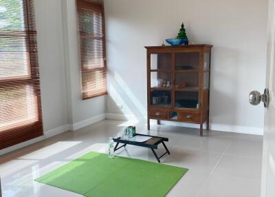 Bright living room with green mat and wooden cabinet