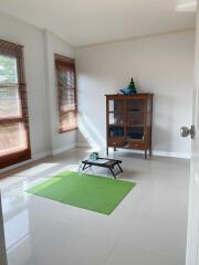 Bright living room with green mat and wooden cabinet