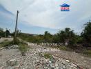 Vacant land with scattered debris and greenery in the background