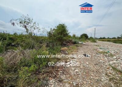Vacant land with natural vegetation