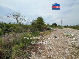 Vacant land with natural vegetation