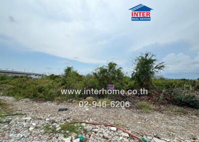 Vacant land plot with surrounding greenery
