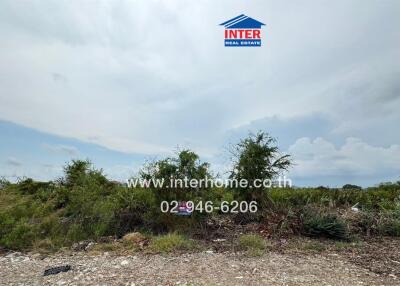 Vacant land with some vegetation visible under a cloudy sky