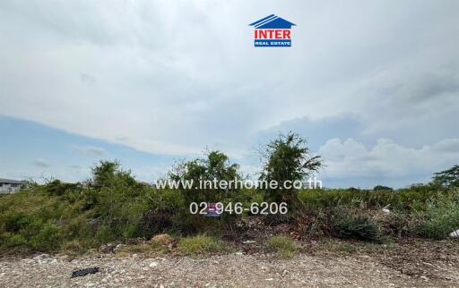 Vacant land with some vegetation visible under a cloudy sky