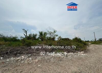 Vacant land with some vegetation and debris, clear sky