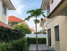 Outdoor area between residential buildings with garden and tree