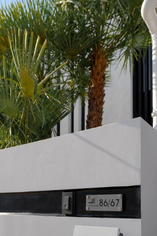 Entrance with palm trees and house number