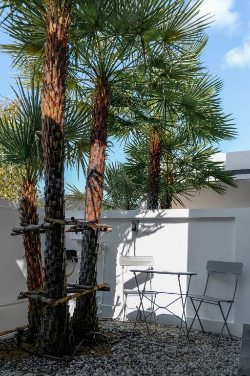 Outdoor seating area with palm trees