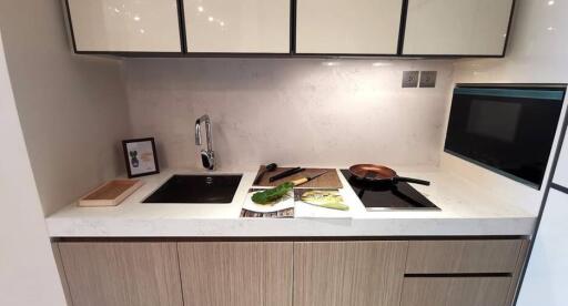 Modern kitchen with sleek cabinetry and integrated appliances