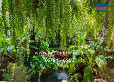 Lush garden space with various plants and ferns hanging down.