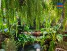 Lush garden space with various plants and ferns hanging down.