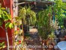 Beautiful lush garden with various plants and outdoor furniture