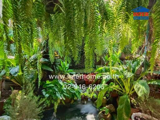 Lush green garden with a water feature