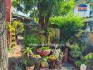 Lush garden area with various plants and trees