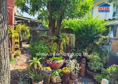 Lush garden with various potted plants, trees, and a small pathway