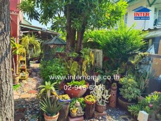 Lush garden with various potted plants, trees, and a small pathway