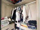 Organized closet with hanging clothes and storage boxes