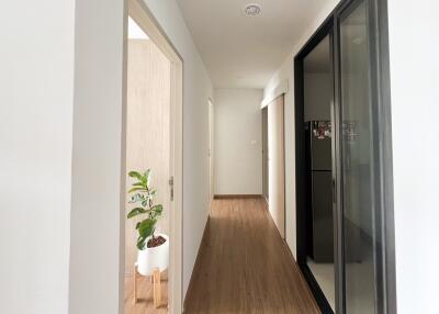 Bright hallway with wooden flooring and a potted plant