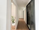 Bright hallway with wooden flooring and a potted plant