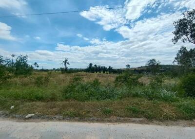 Scenic view of open grassy field with some trees and a clear blue sky