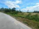 Suburban road next to a grassy field with trees and power lines