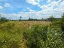 Open field with cloudy blue sky