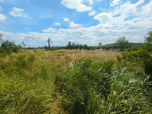 Open field with cloudy blue sky