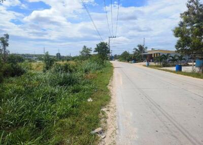 Roadside view with greenery and houses