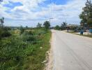 Roadside view with greenery and houses