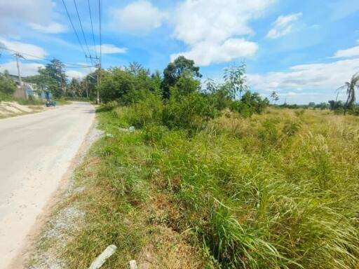 Open land beside a road