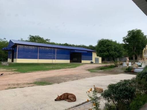 Outdoor building with blue and yellow exterior