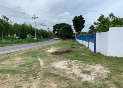 Roadside view with greenery and fences