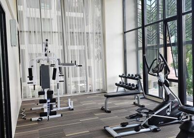 Well-equipped gym with exercise machines, weights, and large windows with natural light