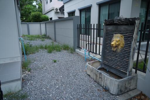 Outdoor yard with a lion head water feature