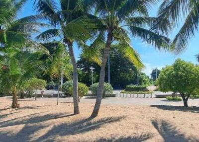 Beachfront area with palm trees and clear skies