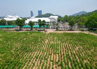 Aerial view of farmland with plants and surrounding buildings