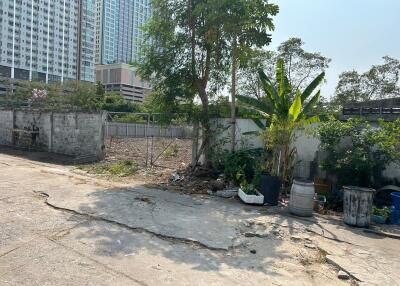 Outdoor area with plants and trees