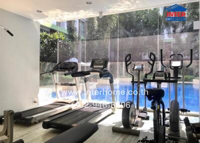 Modern gym with various exercise equipment and a view of the outdoor pool