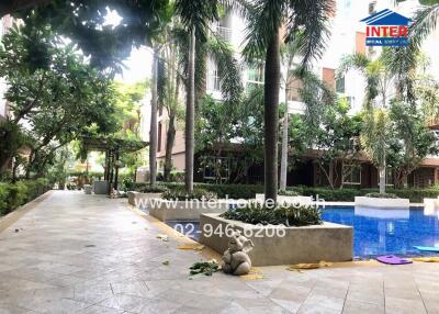 Luxury condominium outdoor pool area with greenery
