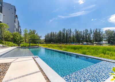 Outdoor swimming pool area with surrounding greenery and clear sky